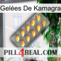 Gelées De Kamagra cialis1